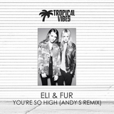 Скачать песню Eli And Fur - You're So High (Andy S Remix)