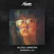 Скачать песню Killteq - Wonderful Life (feat. Dimestrix)