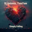 Скачать песню DJ Antonio - Simply Falling (feat. TomYam)