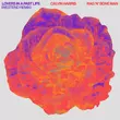 Скачать песню Calvin Harris & Rag'n'Bone Man - Lovers In A Past Life (Westend Remix)