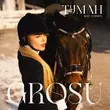 Скачать песню Grosu - Туман (Iksiy Version)