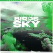 Скачать песню Newera - Birds In The Sky