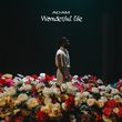 Скачать песню Adam - Wonderful Life