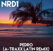Скачать песню Nrd1 - Pedro (A-traxx Latin Remix)