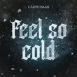 Скачать песню Carpetman - Feel So Cold