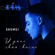 Скачать песню Shumei - У Долі Своя Весна