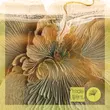 Скачать песню Sounds Of Rituals & Davina Leone - The Moments (Original Mix)