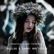 Скачать песню Христина Соловій - Fortepiano (Agilar & Danny May Remix)
