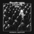 Скачать песню Ofenbach - Feelings Don't Lie (feat. Salem Ilese)
