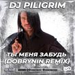 Скачать песню DJ Piligrim - Ты Меня Забудь (Dobrynin Remix)
