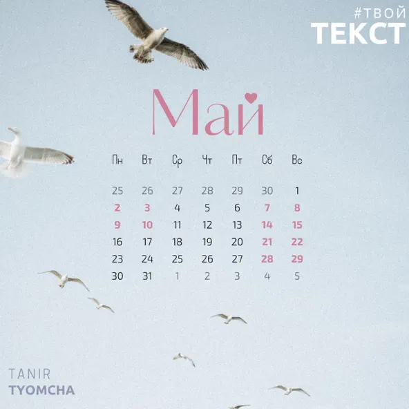 Скачать песню Tanir - Май (feat. Tyomcha)