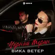 Скачать песню Вика Ветер - Чёрный Мерин