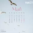 Скачать песню Tanir - Май (feat. Tyomcha)