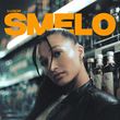 Скачать песню Luxor - Smelo