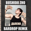 Скачать песню Bushido Zho - Далеко (Bardrop Remix)