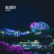 Скачать песню Blizkey - Горы (Corto & Slim & Shmelev Remix)