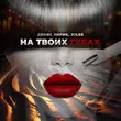 Скачать песню Денис Лирик - На Твоих Губах (feat. Jules)
