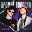 Скачать песню Kalush - Аромат Волосся (feat. Naimes)