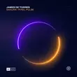 Скачать песню James De Torres - Sakura (Extended Mix)