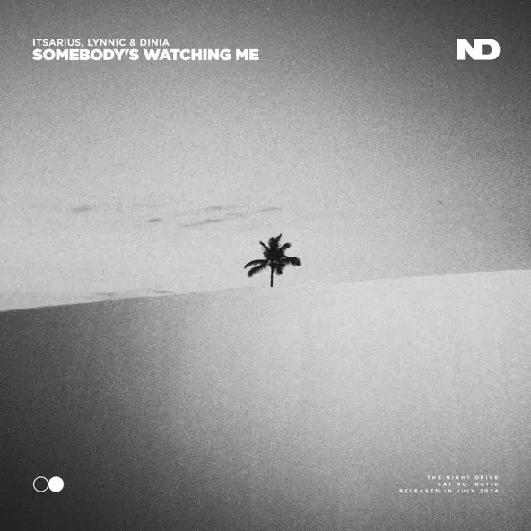 Скачать песню Itsarius & Lynnic feat. Dinia - Somebody's Watching Me (Extended Mix)