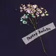 Скачать песню Jazzdauren - Первая Любовь