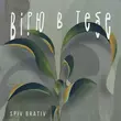 Скачать песню Spiv Brativ - Вірю В Тебе