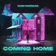 Скачать песню Dario Rodriguez - Coming Home