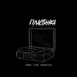 Скачать песню Тайпан - Пластинка (feat. Il'giz & Неизвестный)