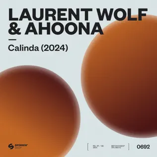 Скачать песню Laurent Wolf - Calinda (feat. Ahoona)