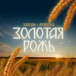 Скачать песню Тайпан - Золотая Рожь (feat. MorozKA)