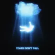 Скачать песню Kaskade - Tears Don't Fall (feat. Enisa)