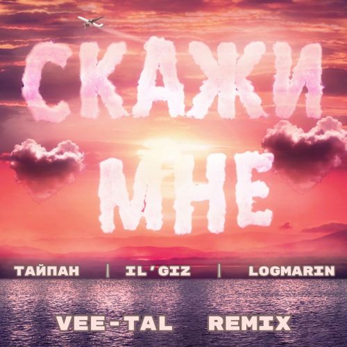 Скачать песню Тайпан & Il'giz feat. Logmarin - Скажи Мне (Vee-tal Remix)
