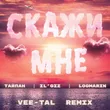 Скачать песню Тайпан & Il'giz feat. Logmarin - Скажи Мне (Vee-tal Remix)