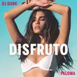 Скачать песню DJ Dark - Disfruto (feat. Paloma)