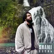 Скачать песню Shami - Осень
