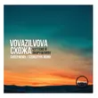 Скачать песню VovaZiLvova & Схожа - Чуттєво Й Зворушливо (Svitlo Remix)