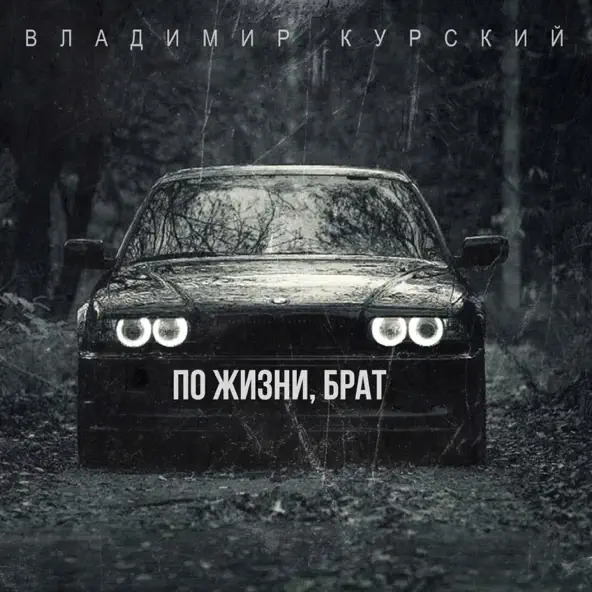 Скачать песню Владимир Курский - По Жизни Брат