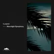 Скачать песню Flanerr - Moonlight Symphony (Original Mix)