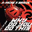 Скачать песню A-Niche - Why Do You Do This (feat. Brieuc)
