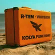 Скачать песню R-Tem - Voiceless (Kolya Funk Remix)