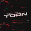 Скачать песню DJ DimixeR - Torn (feat. Favia & Dmitrii G)