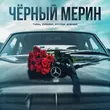 Скачать песню Tural Everest - Чёрный Мерин (feat. Руслан Добрый)
