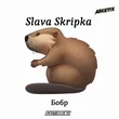 Скачать песню Slava Skripka - Бобр (Asketix Remix)