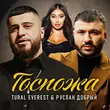 Скачать песню Tural Everest - Госпожа (feat. Руслан Добрый)
