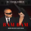 Скачать песню Misha Miller & Alex Velea‬ - Bam Bam (DJ Dark Remix)