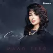 Скачать песню Салида - Мало Тебя