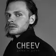 Скачать песню Cheev - День У День