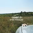 Скачать песню Gambit 13 - Букет Ромашек