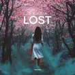 Скачать песню Opila - Lost