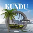 Скачать песню Swanky Tunes - Kundu
